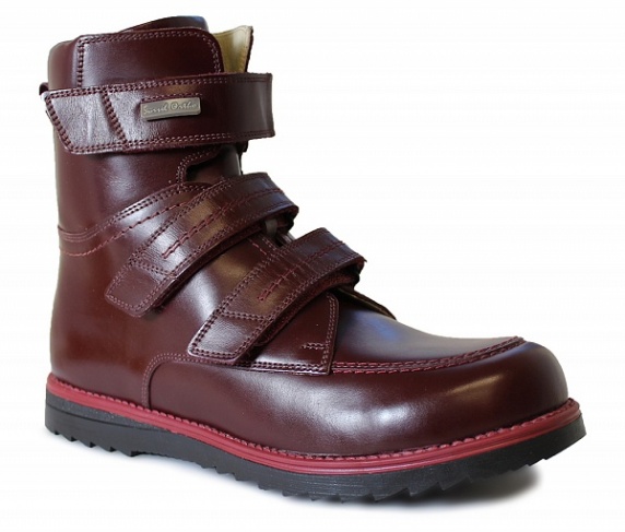 Ботинки осенние бордовые 160208 фото 1